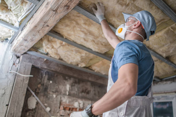 Best Residential Insulation in Dano, CO